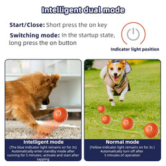 Fully automatic intelligent dog toy ball electronic interactive pet toy ball USB automatic movement bouncing dog gift