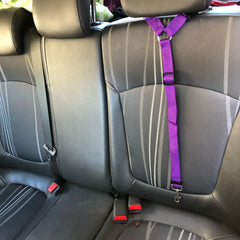 New Solid Color Two-in-one Pet Car Seat Belt Nylon Lead Leash Backseat Safety Belt Adjustable Dogs Harness Collar Pet Accessorie