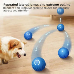 Fully automatic intelligent dog toy ball electronic interactive pet toy ball USB automatic movement bouncing dog gift